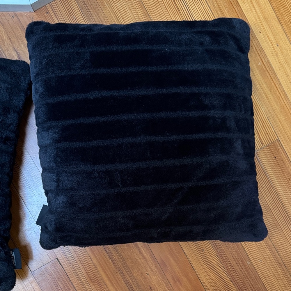 Rachel Zoe Black Accent Pillow (set of 2) -16”x16”